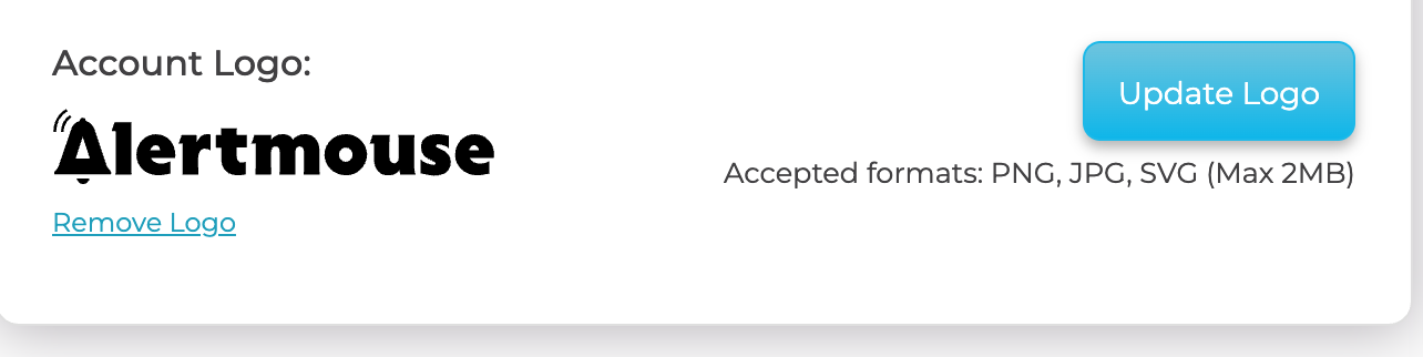 The Account Logo section after a logo is uploaded, showing the Update Logo and Remove Logo options